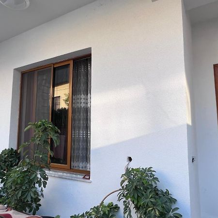 David Guesthouse Shkodër Dış mekan fotoğraf