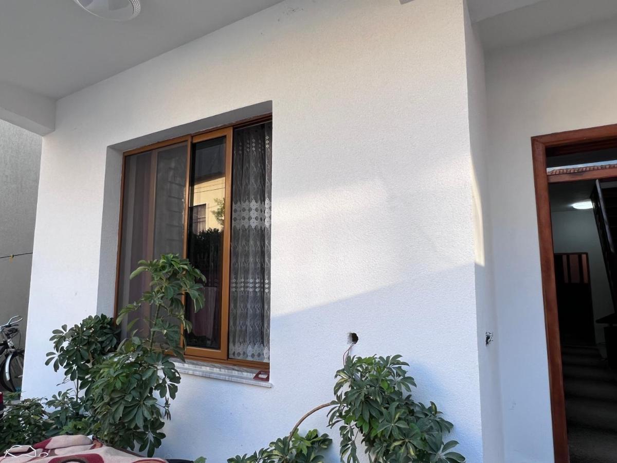 David Guesthouse Shkodër Dış mekan fotoğraf
